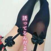 ヒメ日記 2025/09/25 02:49 投稿 北浦 鶯谷デッドボール