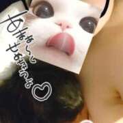 ヒメ日記 2025/10/30 06:49 投稿 北浦 鶯谷デッドボール