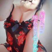 ヒメ日記 2025/11/15 09:41 投稿 北浦 鶯谷デッドボール