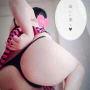 ヒメ日記 2025/11/29 11:53 投稿 北浦 鶯谷デッドボール