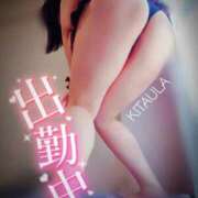 ヒメ日記 2025/11/30 17:39 投稿 北浦 鶯谷デッドボール