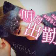 ヒメ日記 2025/12/02 14:12 投稿 北浦 鶯谷デッドボール