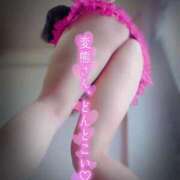 ヒメ日記 2025/12/07 18:19 投稿 北浦 鶯谷デッドボール