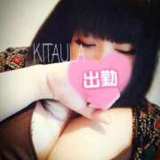 ヒメ日記 2025/12/29 07:19 投稿 北浦 鶯谷デッドボール