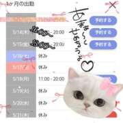 ヒメ日記 2026/05/14 19:22 投稿 北浦 鶯谷デッドボール