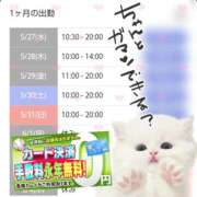 ヒメ日記 2026/05/27 11:09 投稿 北浦 鶯谷デッドボール