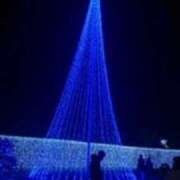 ヒメ日記 2024/12/14 11:50 投稿 上田絵里 五十路マダム 新居浜店（カサブランカグループ）