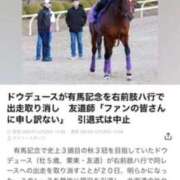 ヒメ日記 2024/12/20 15:16 投稿 上田絵里 五十路マダム 新居浜店（カサブランカグループ）