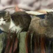 ヒメ日記 2024/12/25 17:58 投稿 上田絵里 五十路マダム 新居浜店（カサブランカグループ）