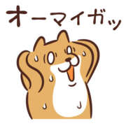 ヒメ日記 2024/12/29 02:04 投稿 上田絵里 五十路マダム 新居浜店（カサブランカグループ）