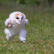 ヒメ日記 2025/02/27 23:38 投稿 上田絵里 五十路マダム 新居浜店（カサブランカグループ）