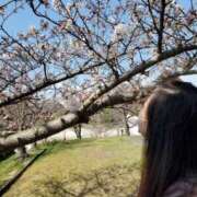 ヒメ日記 2025/03/06 19:30 投稿 上田絵里 五十路マダム 新居浜店（カサブランカグループ）