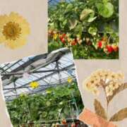 ヒメ日記 2025/03/17 21:38 投稿 上田絵里 五十路マダム 新居浜店（カサブランカグループ）