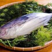 ヒメ日記 2025/03/28 17:28 投稿 上田絵里 五十路マダム 新居浜店（カサブランカグループ）