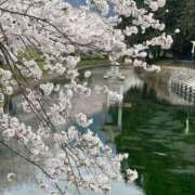 ヒメ日記 2025/03/29 19:16 投稿 上田絵里 五十路マダム 新居浜店（カサブランカグループ）