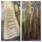 ヒメ日記 2025/04/19 21:38 投稿 上田絵里 五十路マダム 新居浜店（カサブランカグループ）