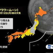 ヒメ日記 2025/05/12 12:08 投稿 上田絵里 五十路マダム 新居浜店（カサブランカグループ）