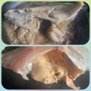 ヒメ日記 2025/05/12 17:26 投稿 上田絵里 五十路マダム 新居浜店（カサブランカグループ）