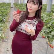 ヒメ日記 2026/03/23 17:34 投稿 ふうか コートダジュール