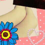 ヒメ日記 2025/03/10 16:28 投稿 五十嵐愛理 五十路マダム 浜松店(カサブランカグループ)