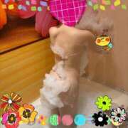 ヒメ日記 2025/12/25 08:36 投稿 五十嵐愛理 五十路マダム 浜松店(カサブランカグループ)