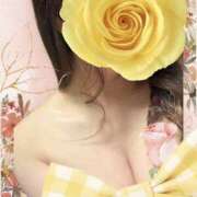 ヒメ日記 2026/04/06 01:04 投稿 五十嵐愛理 五十路マダム 浜松店(カサブランカグループ)