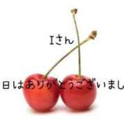 ヒメ日記 2023/10/25 13:11 投稿 あやせさん いけない奥さん 十三店