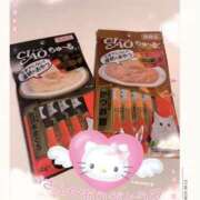 ヒメ日記 2024/12/18 11:46 投稿 井上 恭子 こあくまな熟女たち三河店（KOAKUMAグループ）