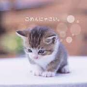 ヒメ日記 2024/12/22 11:25 投稿 井上 恭子 こあくまな熟女たち三河店（KOAKUMAグループ）