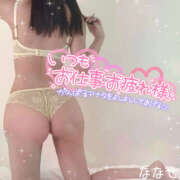 ななせ まってまち❤️ ギャルズネットワーク神戸