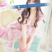 ヒメ日記 2025/06/06 12:52 投稿 伊藤りかこ LUXE(リュクス)