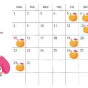 ヒメ日記 2025/08/29 10:35 投稿 伊藤りかこ LUXE(リュクス)