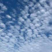 ヒメ日記 2025/07/08 13:44 投稿 三雲 熟女の風俗最終章 横浜本店