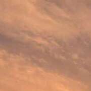 ヒメ日記 2025/08/10 21:02 投稿 三雲 熟女の風俗最終章 横浜本店