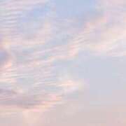 ヒメ日記 2025/08/14 13:57 投稿 三雲 熟女の風俗最終章 横浜本店