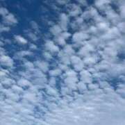 ヒメ日記 2025/09/20 14:14 投稿 三雲 熟女の風俗最終章 横浜本店