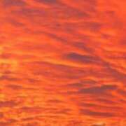 ヒメ日記 2025/11/18 18:24 投稿 三雲 熟女の風俗最終章 横浜本店