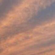 ヒメ日記 2025/11/22 21:14 投稿 三雲 熟女の風俗最終章 横浜本店