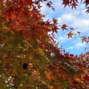 ヒメ日記 2025/11/29 16:52 投稿 三雲 熟女の風俗最終章 横浜本店