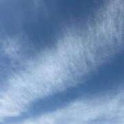 ヒメ日記 2026/02/21 12:04 投稿 三雲 熟女の風俗最終章 横浜本店