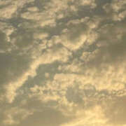ヒメ日記 2026/10/14 20:17 投稿 三雲 熟女の風俗最終章 横浜本店