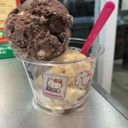 ヒメ日記 2024/12/29 16:41 投稿 なる 愛知弥富ちゃんこ