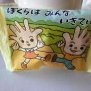 ヒメ日記 2025/01/29 08:01 投稿 なる 愛知弥富ちゃんこ