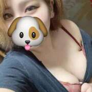 ヒメ日記 2025/03/28 01:41 投稿 なる 愛知弥富ちゃんこ