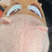 ヒメ日記 2025/03/30 12:21 投稿 なる 愛知弥富ちゃんこ