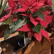 ヒメ日記 2025/03/30 19:24 投稿 なる 愛知弥富ちゃんこ