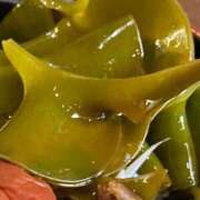 ヒメ日記 2025/03/31 08:31 投稿 なる 愛知弥富ちゃんこ