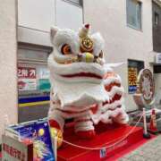 ヒメ日記 2025/03/31 11:51 投稿 なる 愛知弥富ちゃんこ