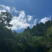 ヒメ日記 2025/03/31 16:51 投稿 なる 愛知弥富ちゃんこ