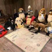 ヒメ日記 2025/03/31 17:32 投稿 なる 愛知弥富ちゃんこ